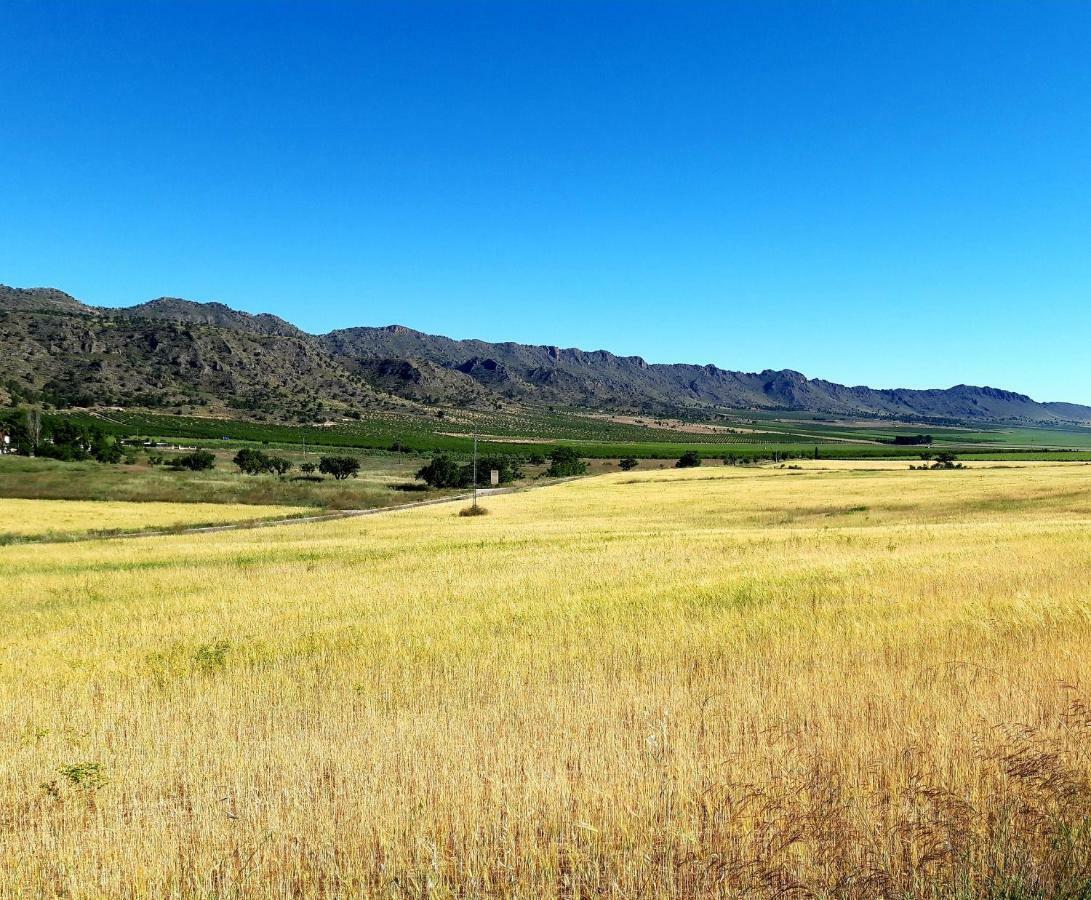 Willa Casa Vidal Relax Al Pie De La Sierra Yecla Zewnętrze zdjęcie